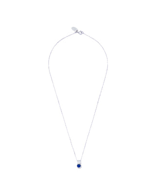 palette lapis necklace